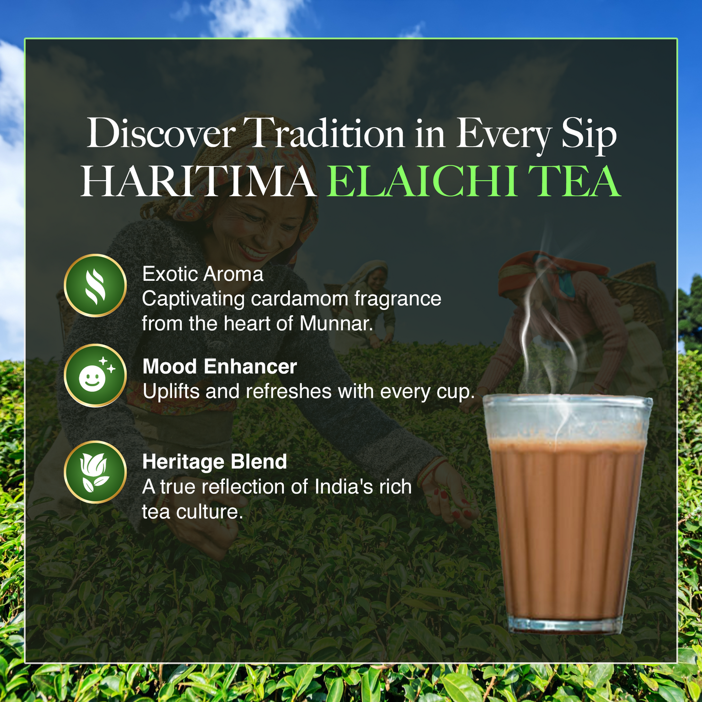 Haritima's Elaichi Tea 250gm (Pack of 1)